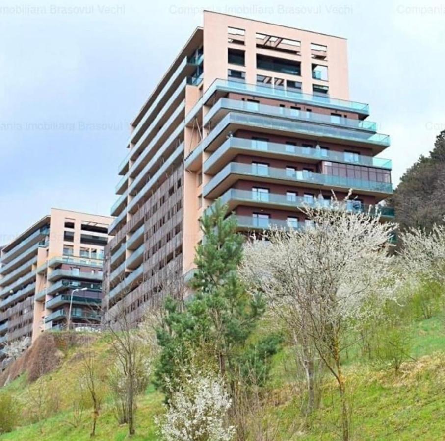 Apartament “La Iepure” 布拉索夫 外观 照片
